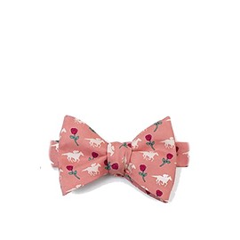 Men's Alynn 100% Silk Coral Victory Rose Horse Race Racing Derby Bow Tie