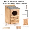 Screech Owl House With Bird Stand - Large Cedar Premium