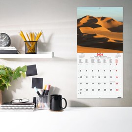 Finocam - Wall Calendar 2026 30x30 cm Month to View January - December 2026 + Sep.- Dec. 2025 (4 months) reduced | Calendar 2026 | Images Nature - International
