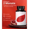 Pomegranate Extract Capsules High Dose 40% Ellagen Acid - Pack