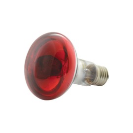 QTX R80 Coloured Reflector Lamps | RED