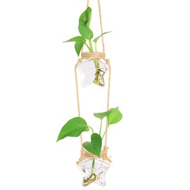 XXXFLOWER Wall Hanging Propagation Station，2 Tiers Star Shaped Glass Flower Vase for Hydroponic Planter Terrarium for Plant Cutting Home Office Living Room Garden Decor