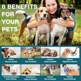 MaxHemp 1 Packs Pet Неmр Oil for Dogs and Cats- Anxiеty, Stress Pain Holistic Inflammation Relief - for Joint Hip Аrthritis, Calming Oil Drop, Organic Pets Treats