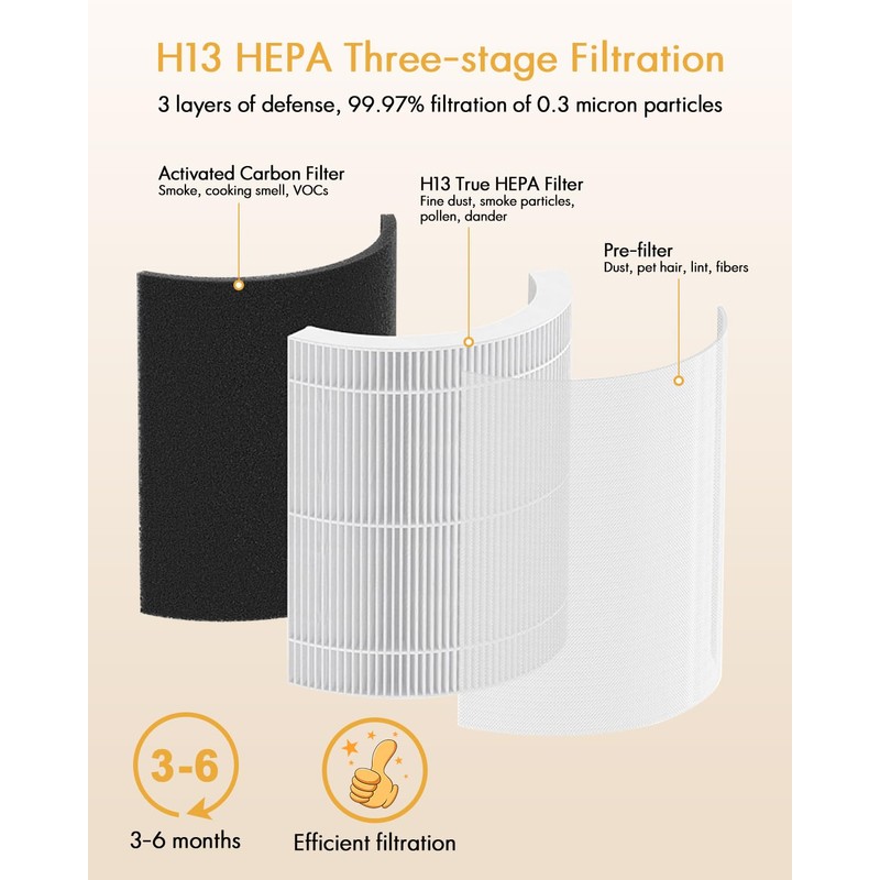 (1 PCS) Air Purifier B-D02U Replacement Filter, VEWIOR H13 True