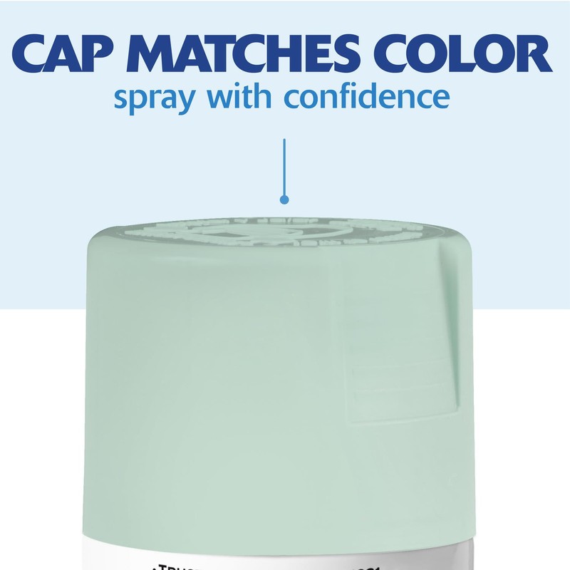 Rust-Oleum 393571-6PK Painter's Touch 2X Ultra Cover Spray Paint, 12