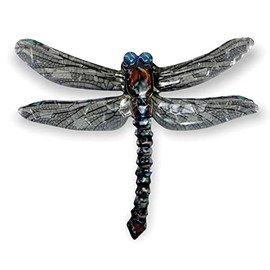 Crispe Metal Wall Decoration - Dragonfly Blue - 48 x 40 cm - Embossed 3D Wall Decoration - Wall Picture Including Practical Wall Mounting - Decorative Wall Sculpture - for Indoor and Outdoor Use