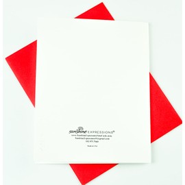 Sunshine Expressions Blooming Flowers – Red Poinsettias – High End Christmas Photographic Heavy Smooth Note Cards 8 w/10 Colored Envelopes, Boxed Set (4.25"x 5.50") Blank Inside - Made in USA