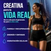VIVRI Creatina | 60 Porciones | Creatina, Betaína y Bisglicinato