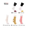 Rainbow Socks - Women's Men's - Sushi Socks Tamago Butterfish