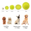 LaRoo Squeaky Dog Ball Toy, Durable Natural Rubber Squeaker Ball