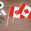 30 Pack Small Canada Flag, Handheld Canadian Flags with Plastic