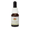 Kangaroo Paw 15 ml Stockbottle Australian Bush Flower Essences
