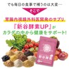 新谷酵素UP ｜ 40代からの酵素サプリメント 女性用 サプリ (植物性乳酸菌/酵素/自然由来) (240粒/60日分)