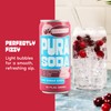 PuraSoda® Cranberry | Low-Calorie, Cane Sugar Soda Beverage | Non-GMO,
