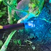 Lzwow 6PCS Lighted Nocks Universal Fit for Crossbow Bolts with