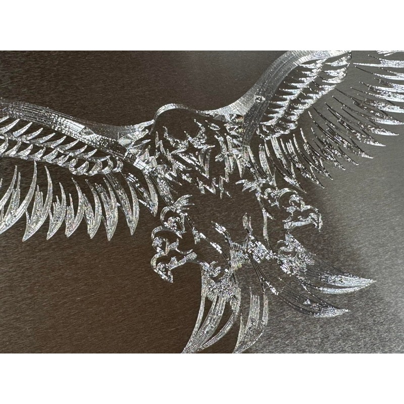 Engraved US American 3D Fierce Eagle Diamond Etched Silver Car