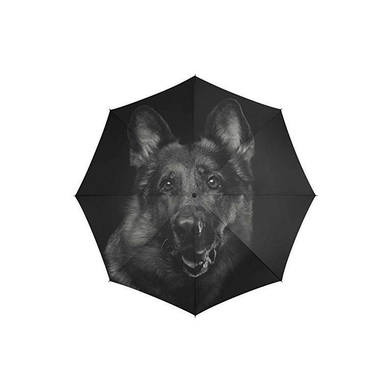 Automatic Umbrella Black Dog, multicoloured