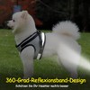 Cat Lead Set for Cats, Polyester Adjustable Cat Harness with