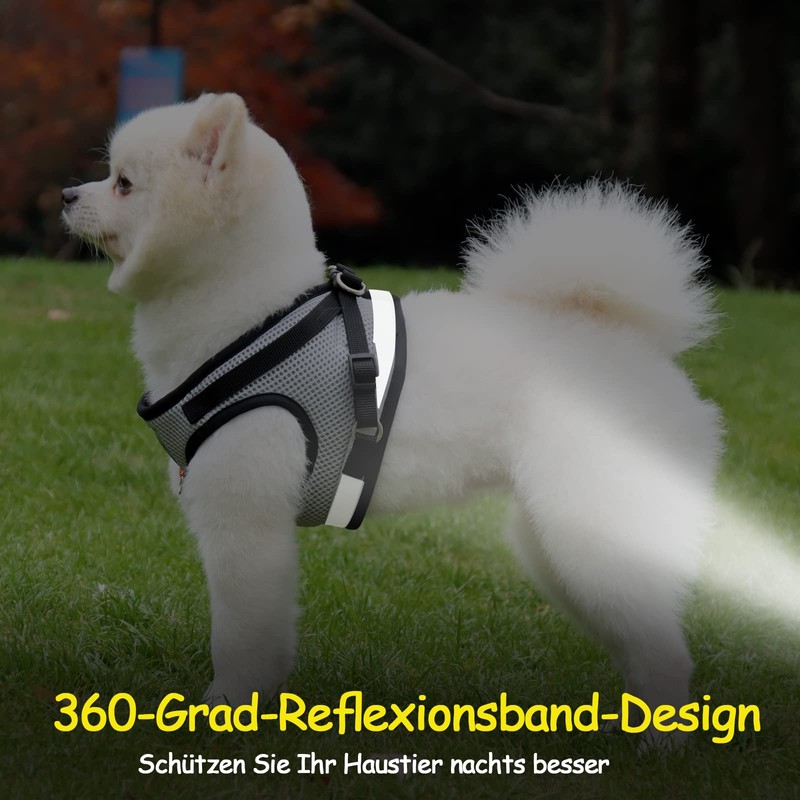 Cat Lead Set for Cats, Polyester Adjustable Cat Harness with