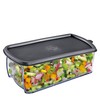 Küchenprofi Onion / Vegetable Chopper Fix Plus | Plastic/Blade Steel