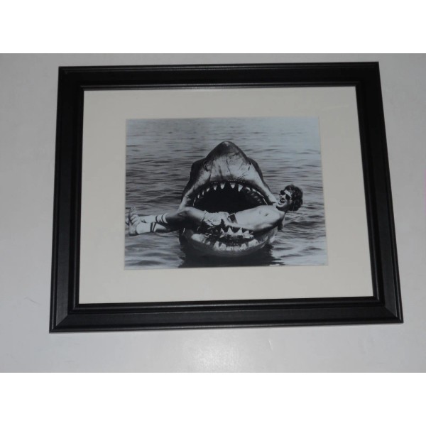 Framed Jaws 1974 Behind the Scenes Steven Spielberg in Shark
