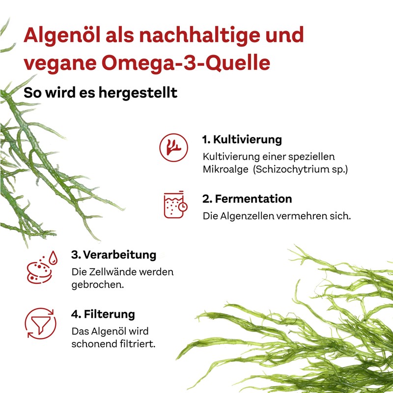 Doppelherz System Omega-3 Vegetable - Algae Oil - with Vitamin