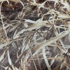 AUSCAMOTEK One Way See Through Camouflage Mesh Camo Netting Material