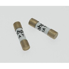 AHP Micro Fuse II - 5 x 20 mm, Gold-Plated (250 V) | Current: 100 mA | Response: Slow