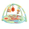 Baby Gym Play Mat with Toys Round Activity Game Combination