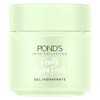 Gel Hidratante Facial Pond Fruity Hydra Fresh Aloe 110