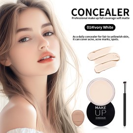 TEIHWAL Under Eye Concealer for Dark Circles Under Eye Corrector De Ojeras Long Lasting Cream White Concealer Tattoo Cover up Makeup-01 Ivory White