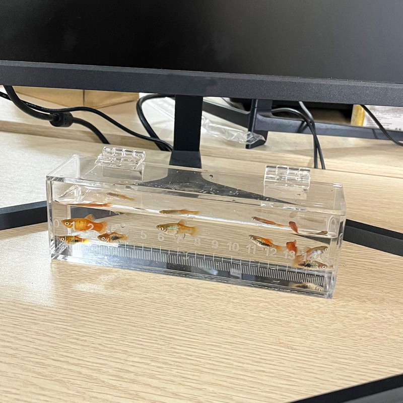 Fish Viewing Box Container with Lid and Scale, Acrylic Portable