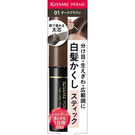 Ferm Gray Hair Cover Stick 01 Dark Brown