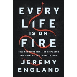 Every Life Is on Fire: How Thermodynamics Explains the Origins of Living Things