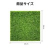 nalaina Artificial Grass Model, Set of 5, 5.9 x 5.9