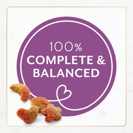 Fancy Feast Purina Gourmet Cat Food Flavor Variety Bundle (Filet Mignon + Fish + Chicken Turkey)