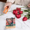 Rose Thorn Stripper Tool, Metal Leaf Thorn Stripper Tool Rose