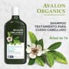 Avalon Organics - Shampoo Con Árbol de Té 352ml