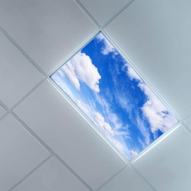 Fluorescent Light Covers, Sky & Clouds 23.75 x 47.75 inches, 0.05 mils Thickness, Decorative Lens