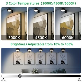 2 Pack Wireless Picture Lights for Wall,Rechargeable Picture Light Battery Operated with Remote,Dimmable Painting Light for Art Display,Battery Wall Lights for Dartboard Photo Frame Gallery.Black