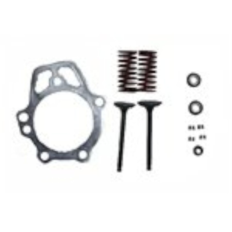 Generac - RETAINER VALVE KIT GN 220