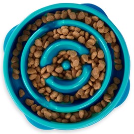 Outward Hound Medium Slow Feeder Bowl, Puzzle Maze for Fast Eaters, Small to Medium Dogs, Helps Prevent Bloat & Aid Digestion, Holds 2 Cups Wet or Dry Food, Non-Slip, Made Without BPA, Turquoise