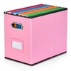 Umtiti A4-Size File Organizer Box（Folders not included. File Folder Storage,