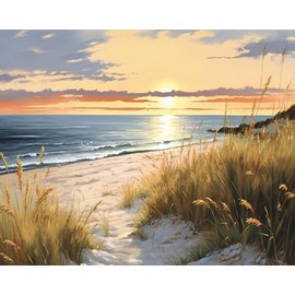 TISHIRON Painting by Hand Painting by Numbers Adult Painting Sets for Adults with Brushes Sunset by the Sea Painting by Numbers on Canvas Acrylic Pigment Crafts 16 x 20 Inches