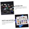 Gatuida Natural Crystal Ores 2 Boxes Set Learning Rough Ore
