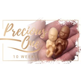 Heritage House '76 Precious One, 10 Week White - English Pro-Life Fetal Model (Pack of 50)