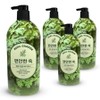 Happy Bath Real Garden Skin Calming Mugwort Body Wash 900g (4 packs) / 해피바스 리얼가든 피부 진정 쑥 바디워시 900g 4개