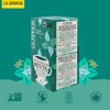 Clipper Tea Organic After Dinner Mints Double Mint and Fennel