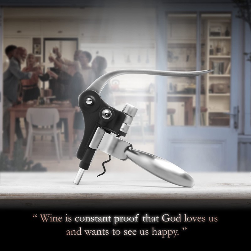 Wine Bottle Opener Corkscrew Set – Luxiluxy [2024 upgraded, does