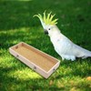 Wooden Parrot Feeding Cups & Perch Stand - Food Dish